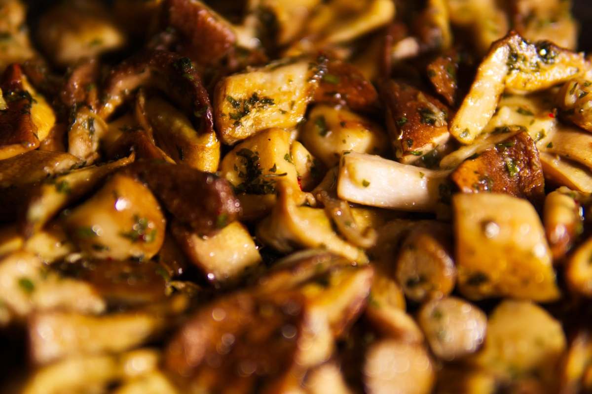 Stefino Rice Pappardelle ai funghi porcini: il primo che fa scena senza sforzo ...