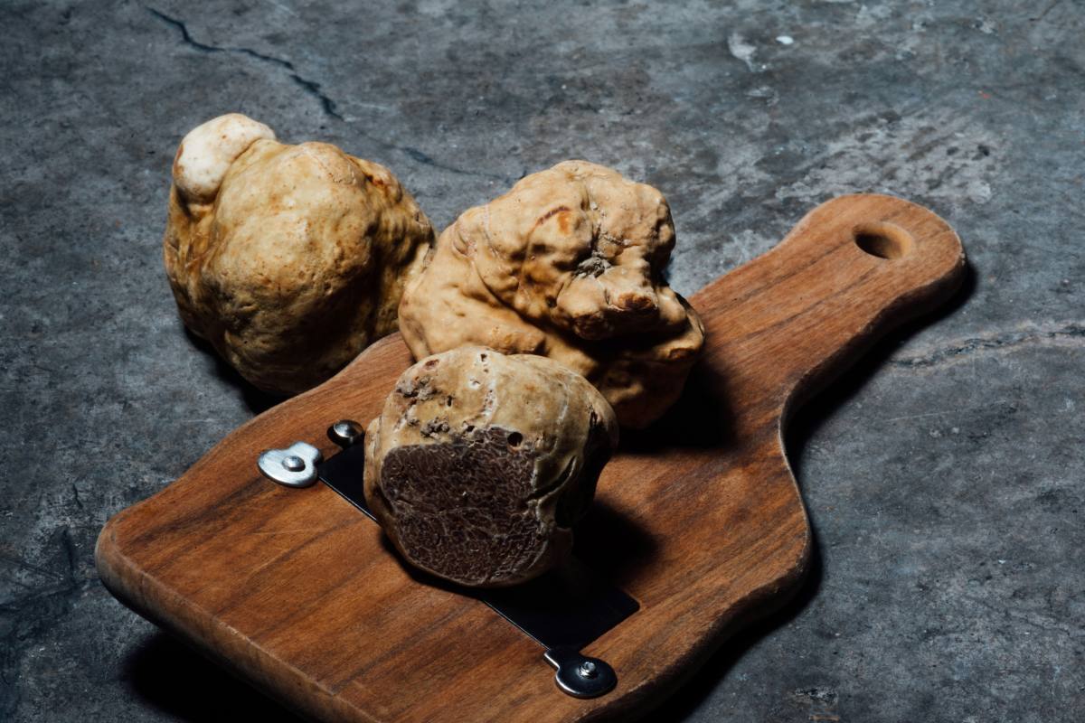 Stefino Rice Tartufo protagonista: il piatto sofisticato ma veloce, che si prepara ...